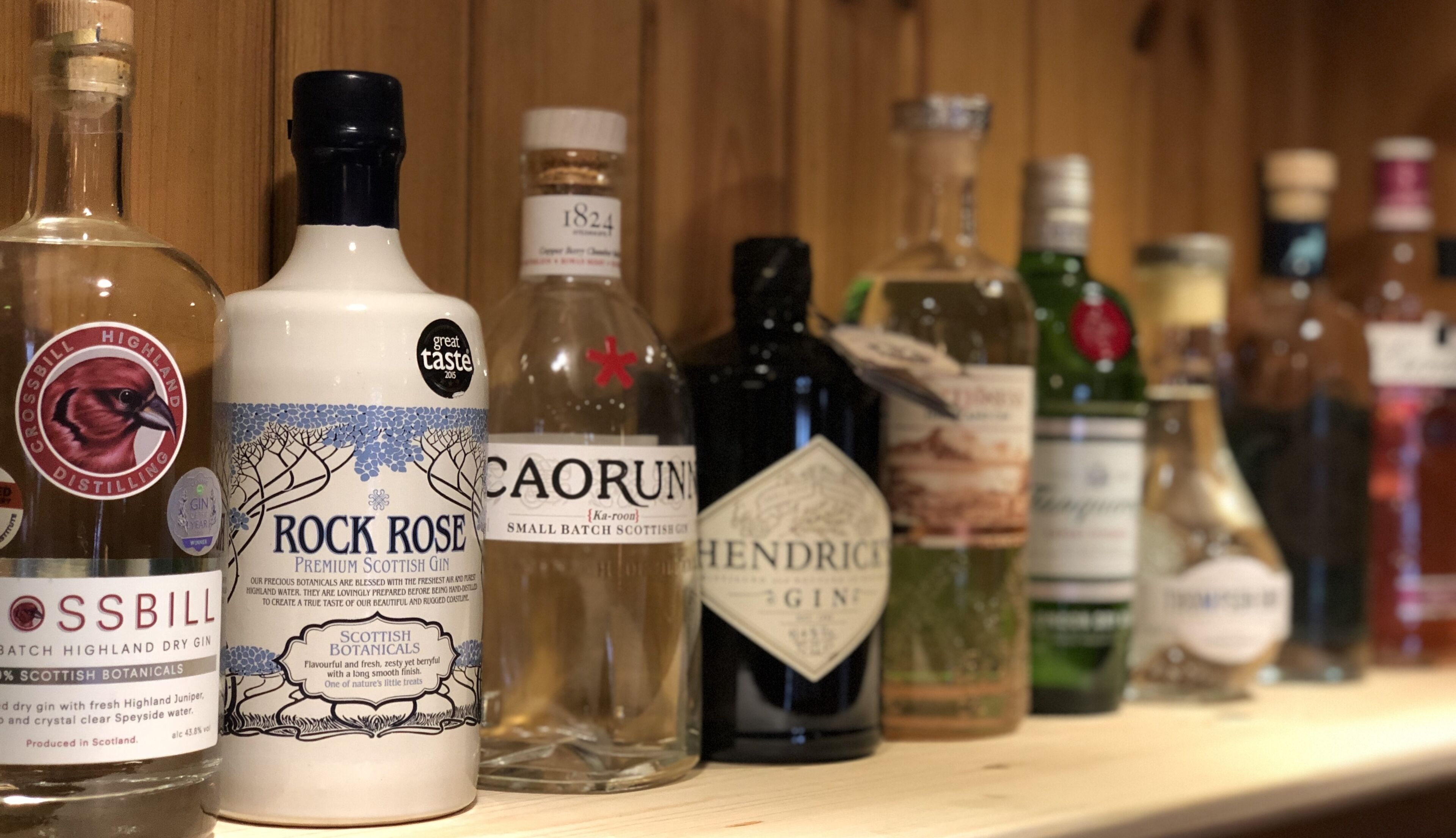 A variety of gin bottles on a wooden shelf.