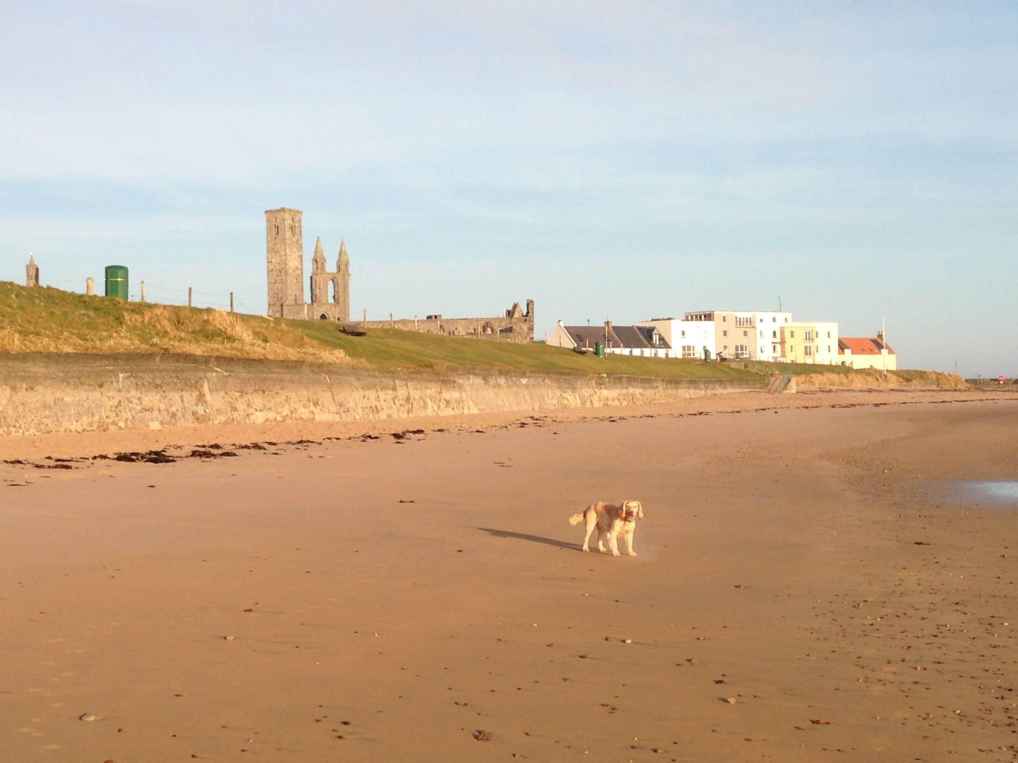 Foto - No12 Bed and Breakfast, St Andrews