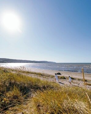 A beach with sand and grass, a clear sky, and the ocean.