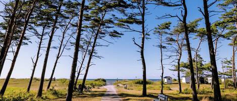 บริเวณภายนอก