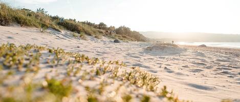 A sandy beach with sparse vegetation and a clear sky.
