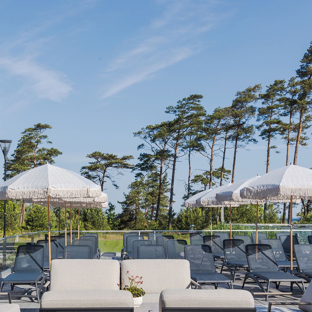 Outdoor seating with umbrellas, a clear sky, and tall trees.