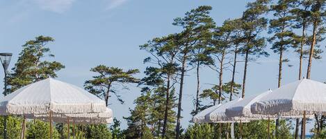Outdoor seating with umbrellas, a clear sky, and tall trees.