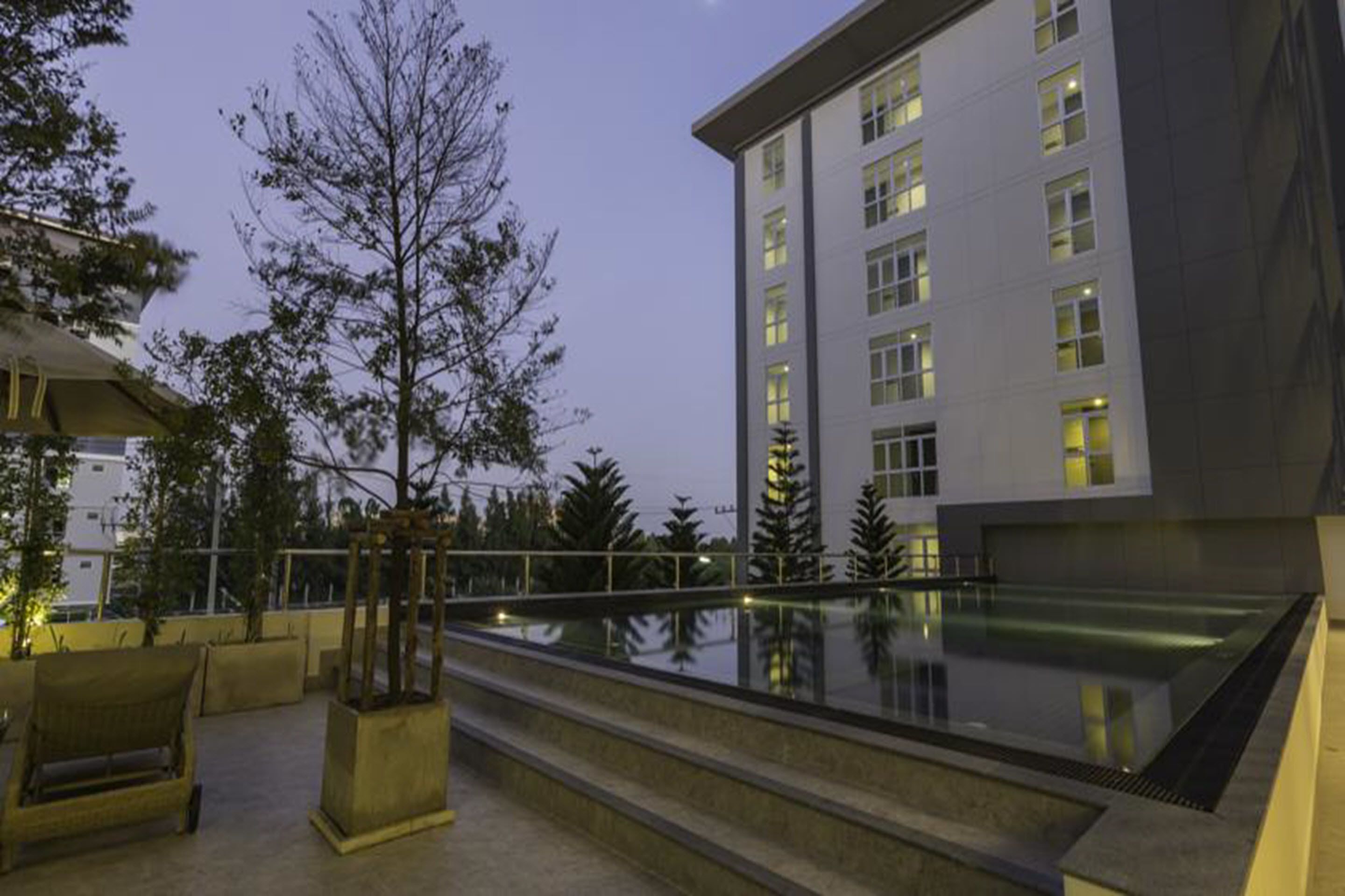 Un bâtiment moderne doté d’une piscine, d’un espace extérieur aménagé et d’un grand arbre.