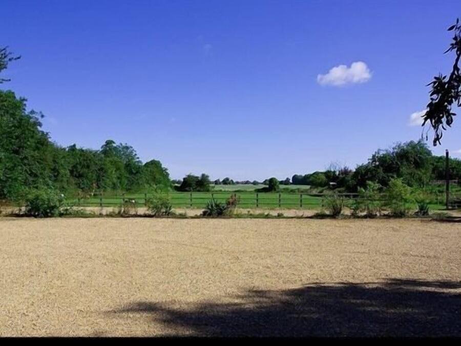 Vista despejada de un espacio exterior cercado con suelo de tierra, rodeado de follaje y árboles.