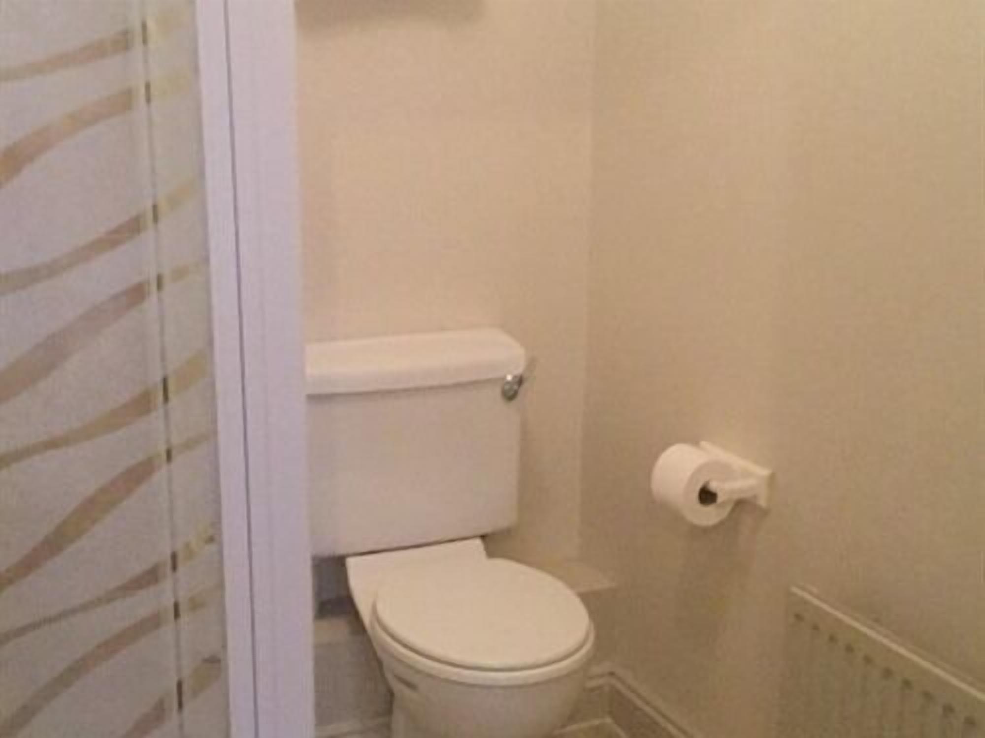 Ein kleines, kompaktes Badezimmer mit Toilette, einer Toilettenpapierrolle und einem Heizkörper an der Wand.