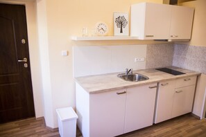 Appartement Ville, 1 chambre, cuisine | Cuisine privée | Grand réfrigérateur, four, plaque de cuisson, lave-vaisselle