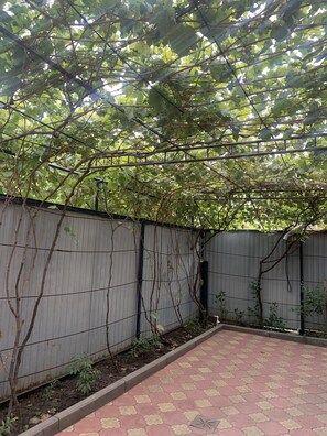 Suite – basic | Hageutsikt