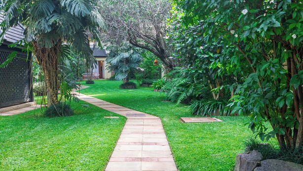 A garden pathway leading to a house with a well-maintained lawn and various plants. - Mimosa Court Apartments (Nairobi)