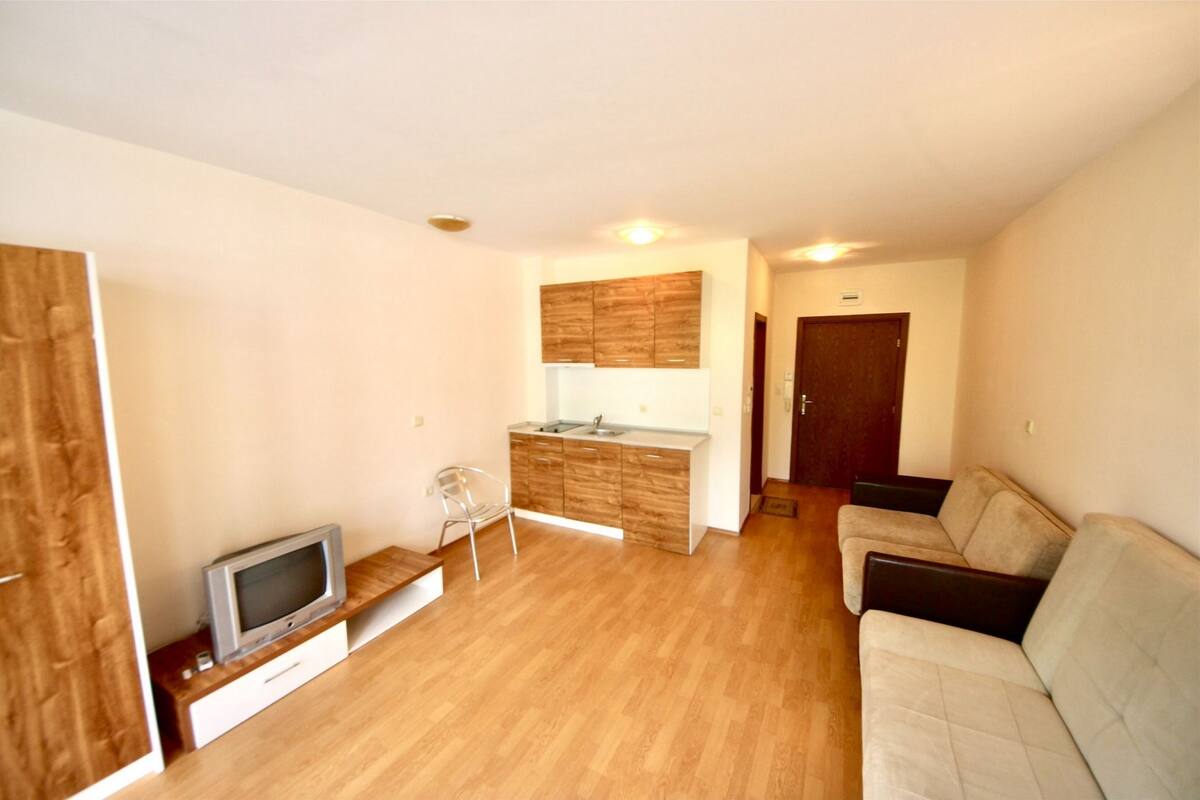 A compact living space with a kitchenette, a sofa, a TV on a wooden stand, and a door leading to another room.