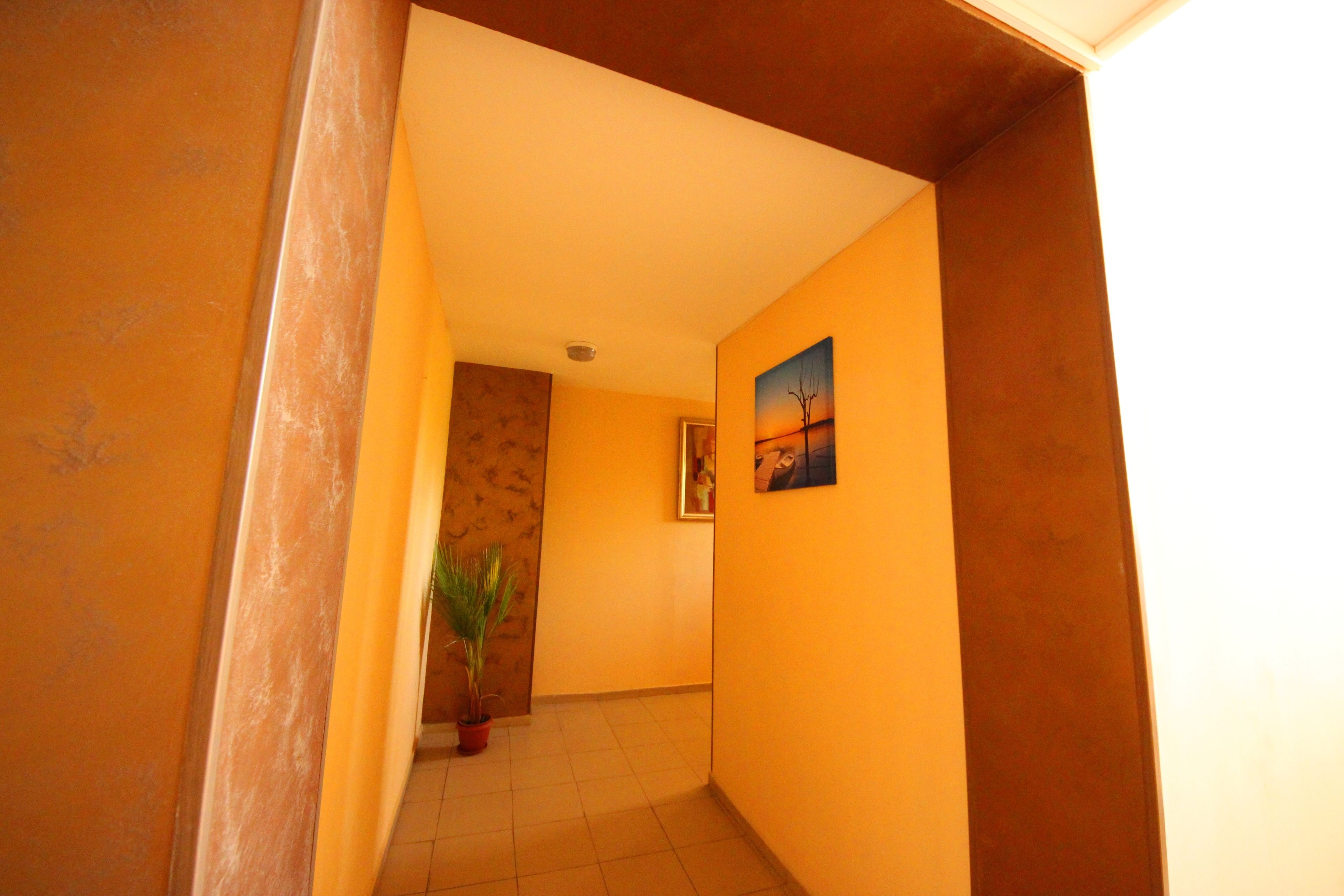 A hallway with orange walls, a tiled floor, a potted plant, and a framed picture on the wall.