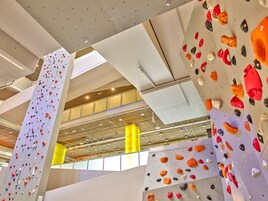 Indoor-Kletterwand