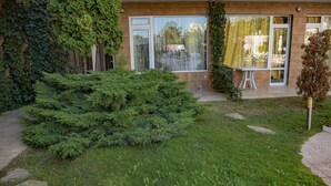 A building with a large glass window, a small garden with a bush, and a paved walkway.