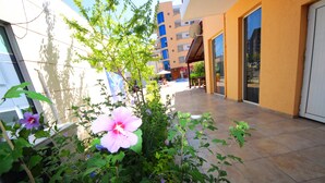 A courtyard with a building, a pathway, and some greenery.