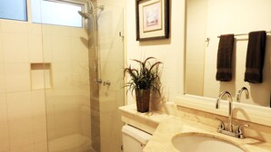 A bathroom with a shower, toilet, sink, and a framed picture on the wall. - Pelicanos 112 (Playa del Carmen)