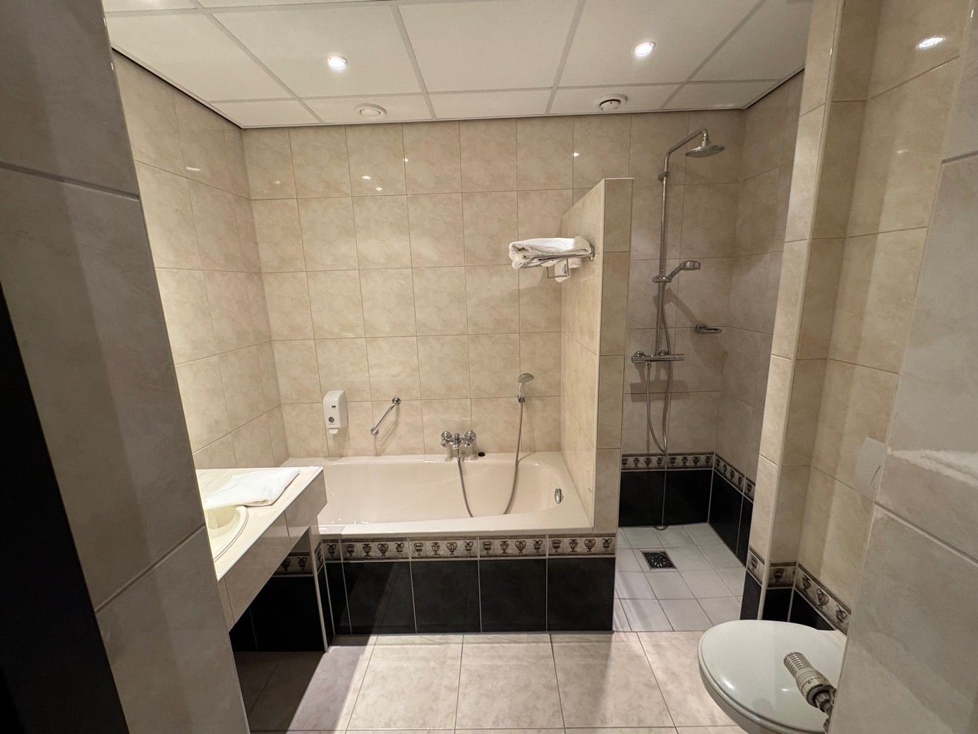 Une salle de bain avec une baignoire, une douche et des toilettes.