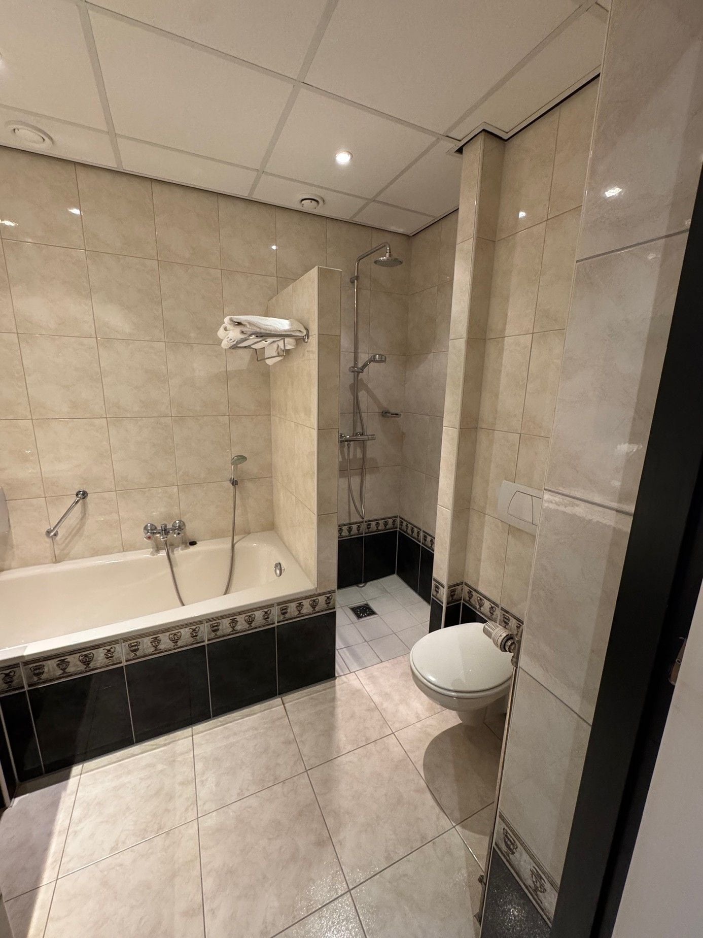 Une salle de bain avec une baignoire, une douche et des toilettes.