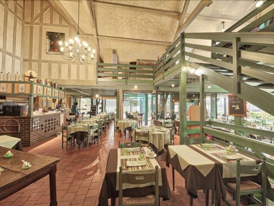 Lunch and dinner served