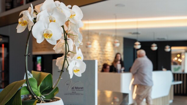 A reception area with a potted orchid, a reception desk, and a bar counter.