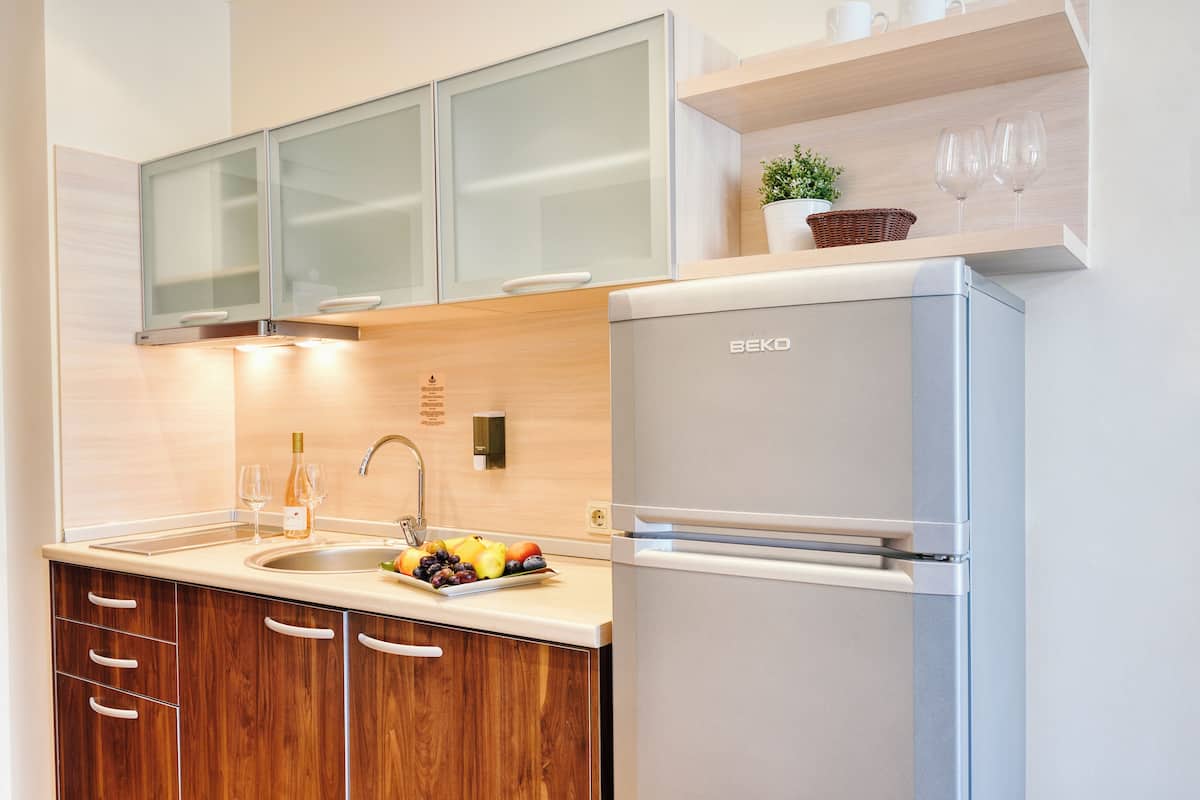 Fridge, microwave, stovetop, electric kettle