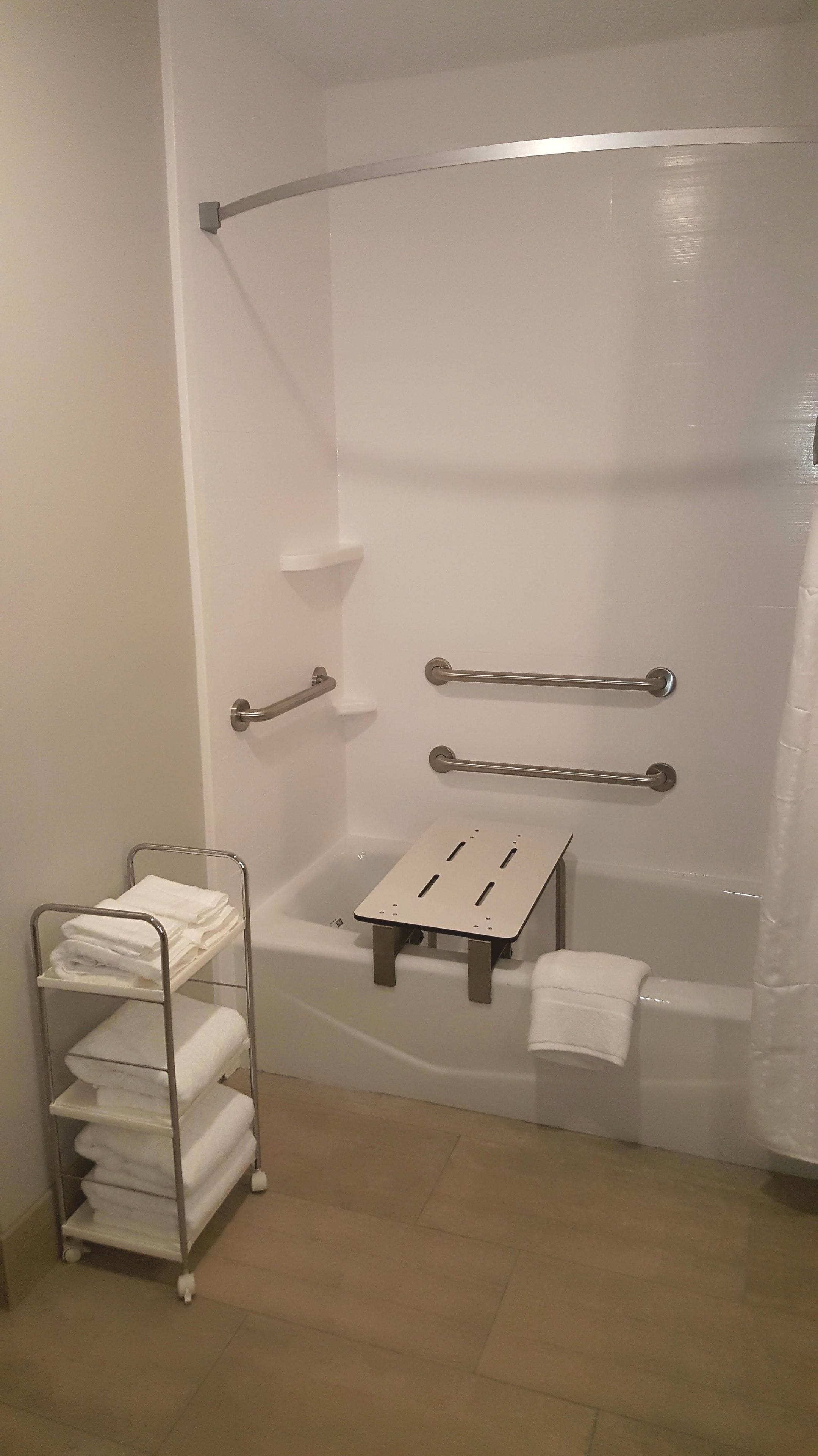 standard room, 1 king bed, accessible (mobility, roll-in shower) | bathroom shower