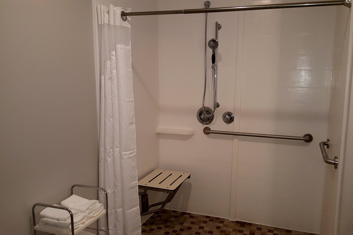 Standard Room, 1 King Bed, Accessible (Mobility, Roll-In Shower) | In-room safe, desk, blackout drapes, iron/ironing board