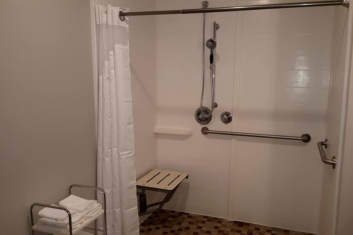Standard Room, 1 King Bed, Accessible (Mobility, Roll-In Shower) | In-room safe, desk, blackout drapes, iron/ironing board