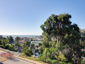 Vista desde la propiedad
