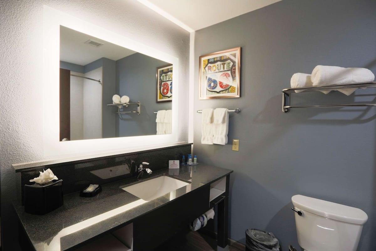 free toiletries, hair dryer, towels