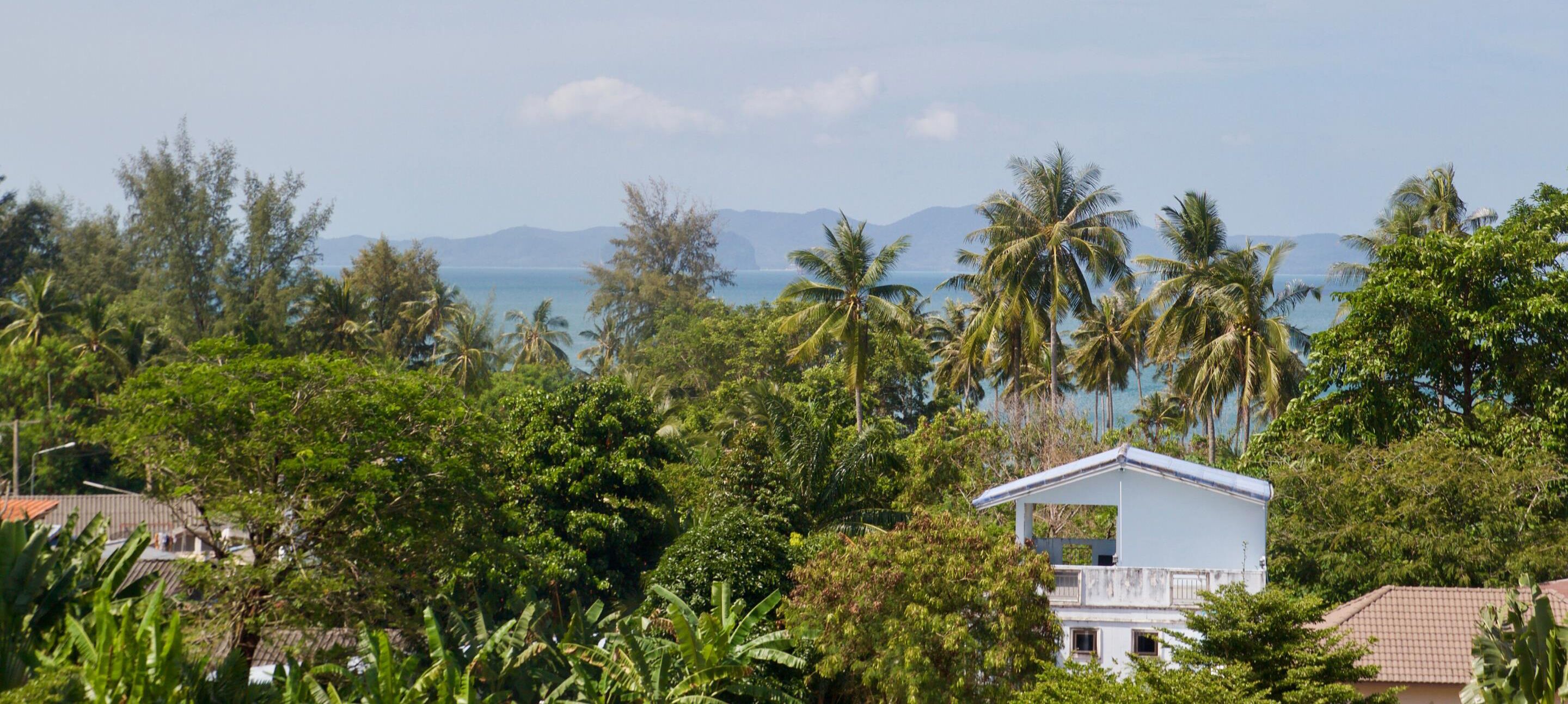 A coastal view with a white building surrounded by lush greenery and palm trees.