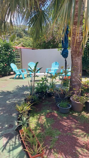 A patio area with outdoor furniture, potted plants, and a palm tree. - Te Ava Piti Lodge (Raiatea)