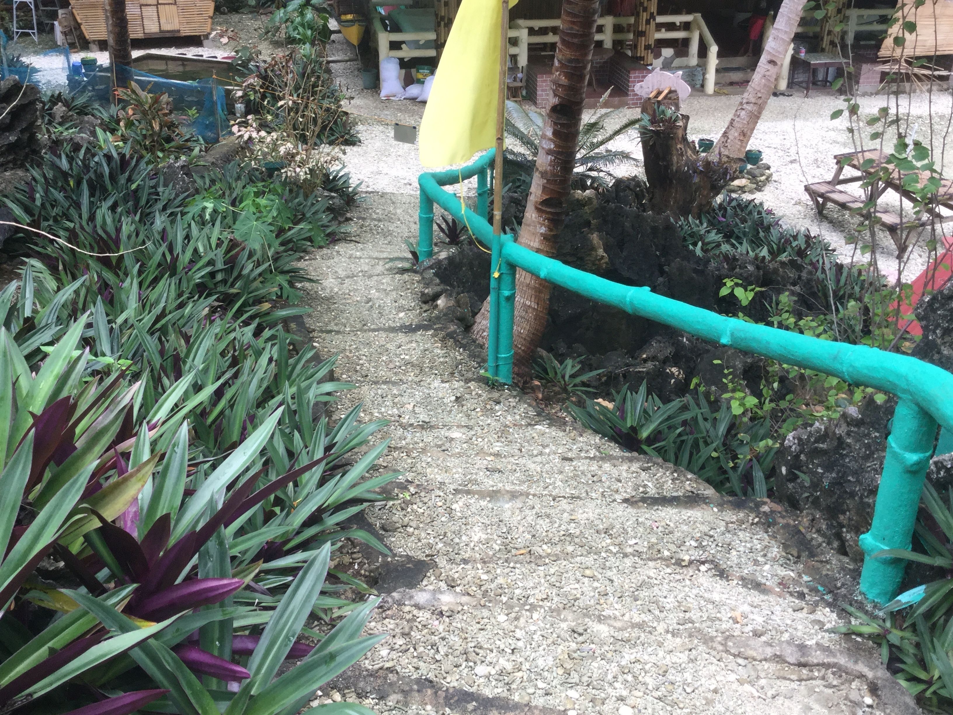 A pathway with a turquoise railing, surrounded by various plants and a small pond.