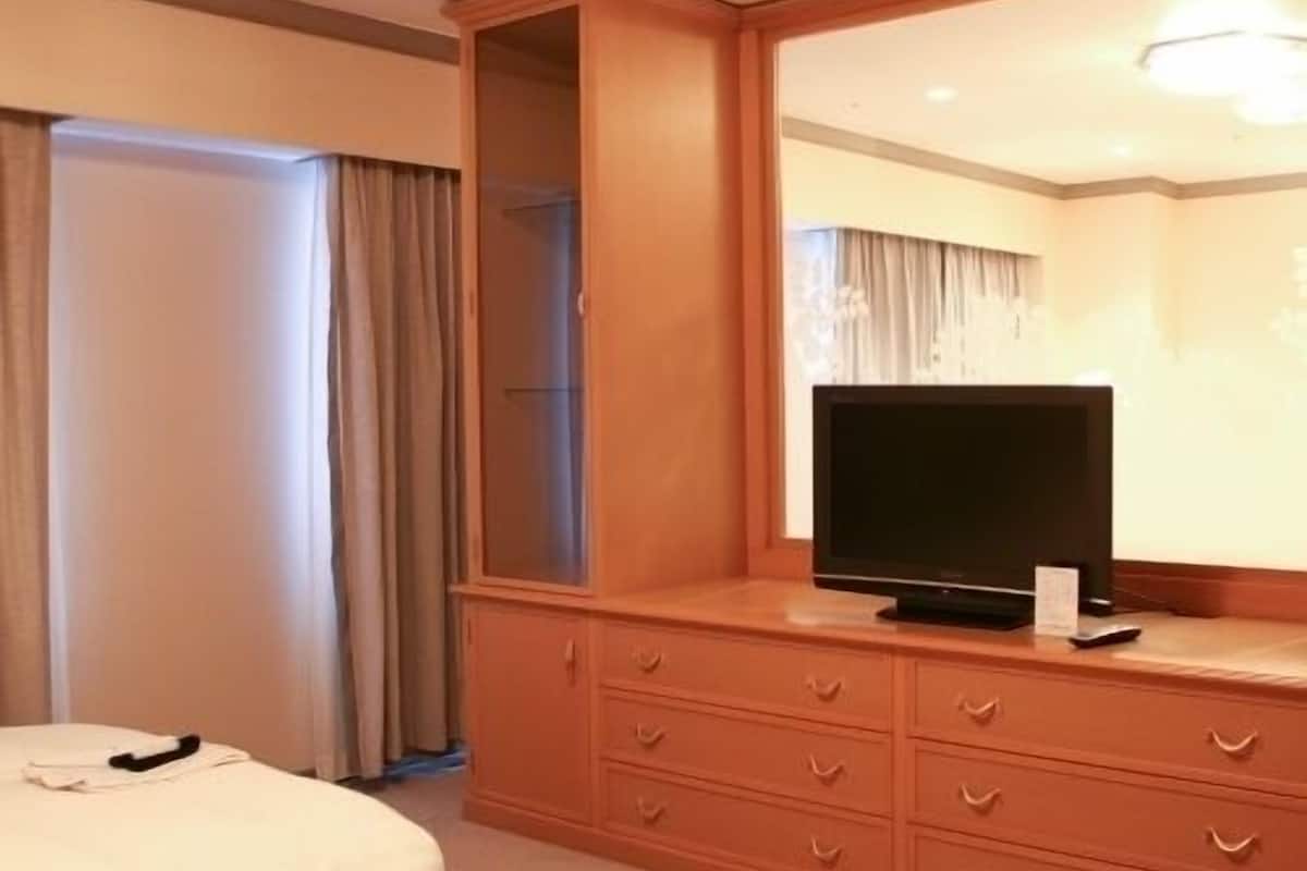 executive suite, smoking | in-room safe, free wifi