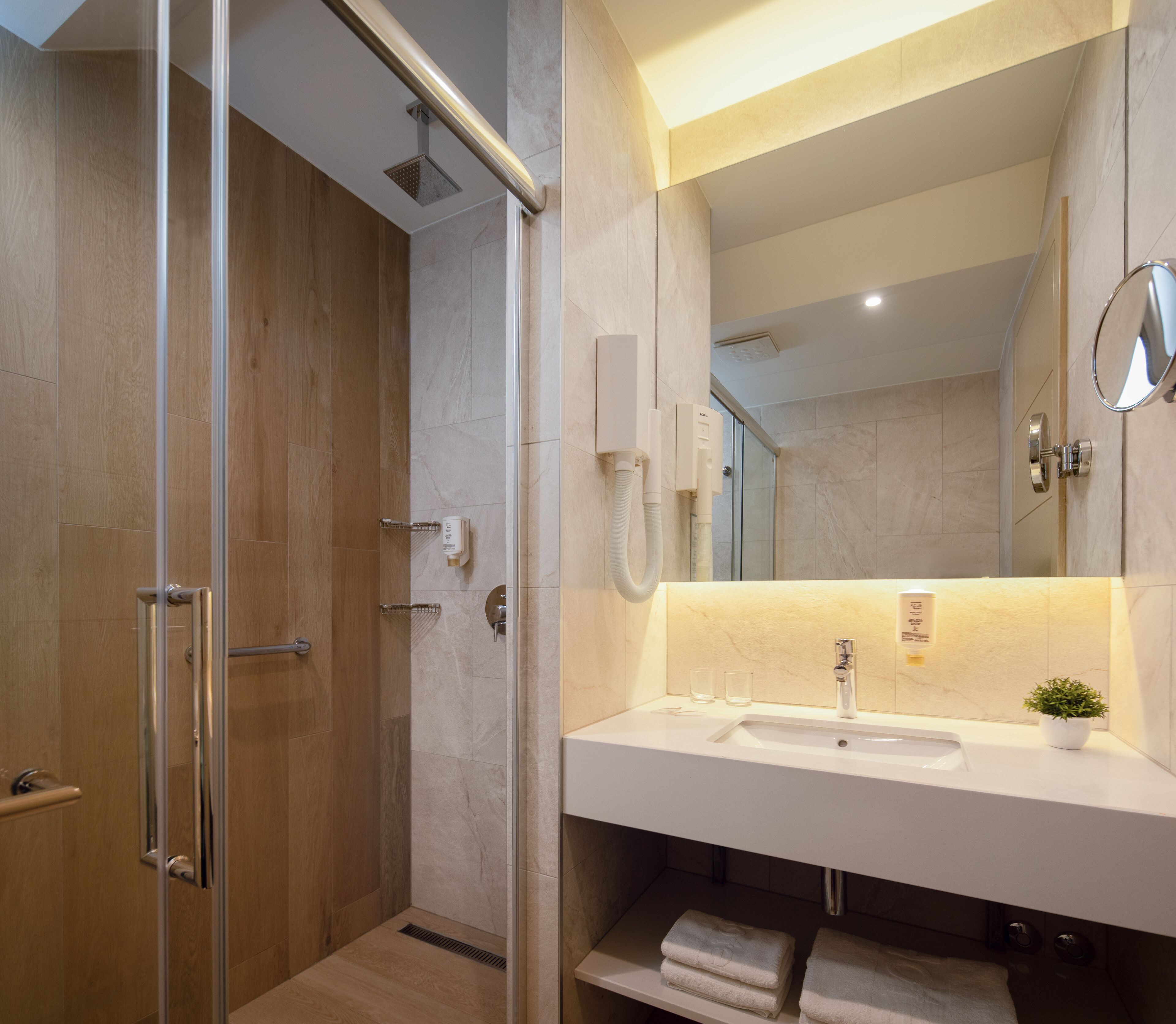 Une salle de bain moderne avec une douche à parois de verre, un lavabo blanc avec un miroir et une petite plante en pot.