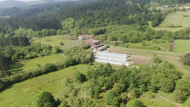 An aerial view of a rural property with a large greenhouse, several buildings, and surrounding green fields. - Aristieta (Ajangiz)