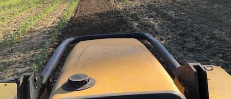 A yellow vehicle on a dirt path with a house and trees in the background.