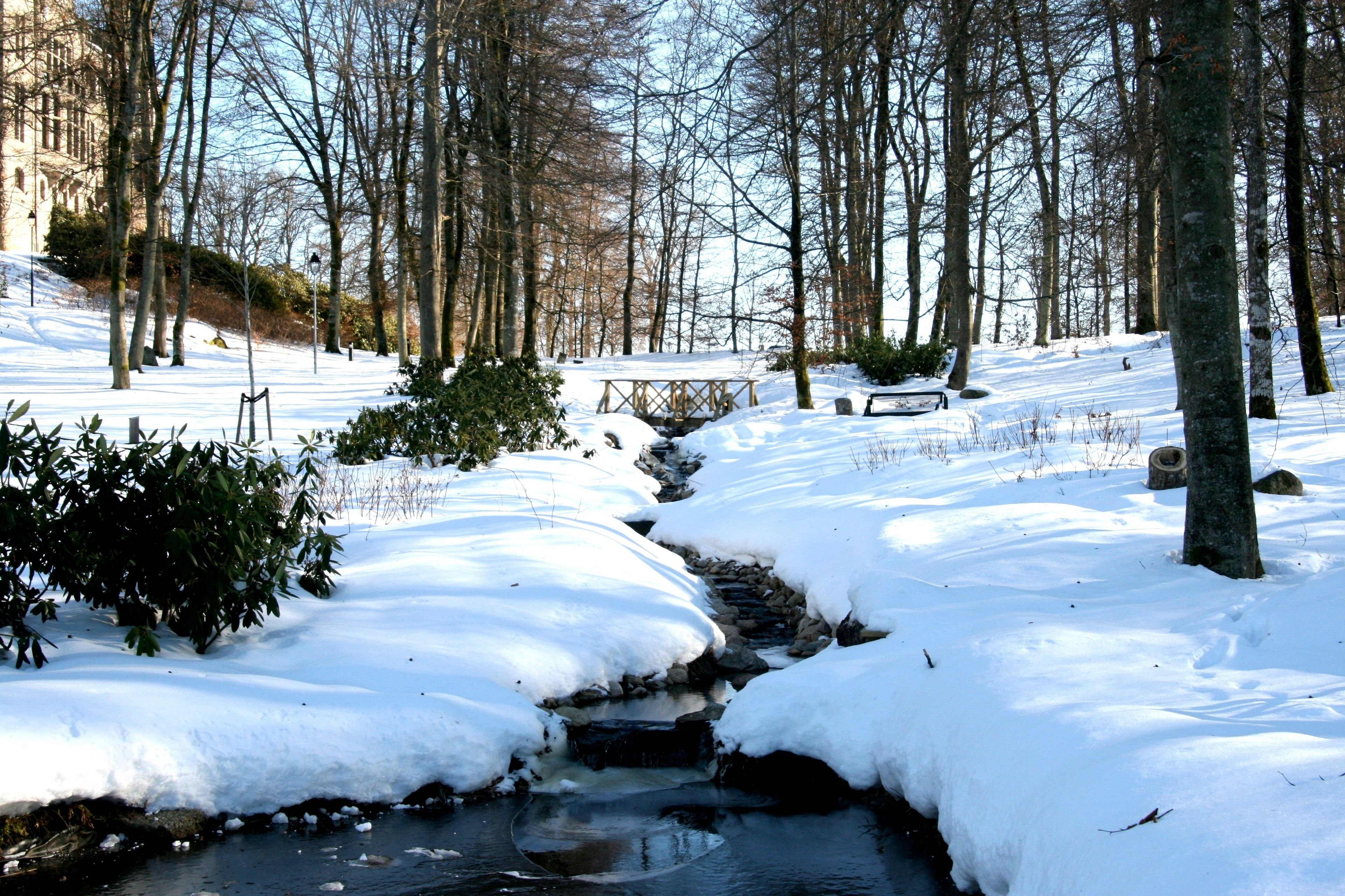 A snow-covered outdoor area with a small stream, trees, and a wooden bridge.