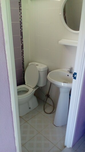 Regadera, amenidades de baño gratuitas, secadora de cabello, toallas 