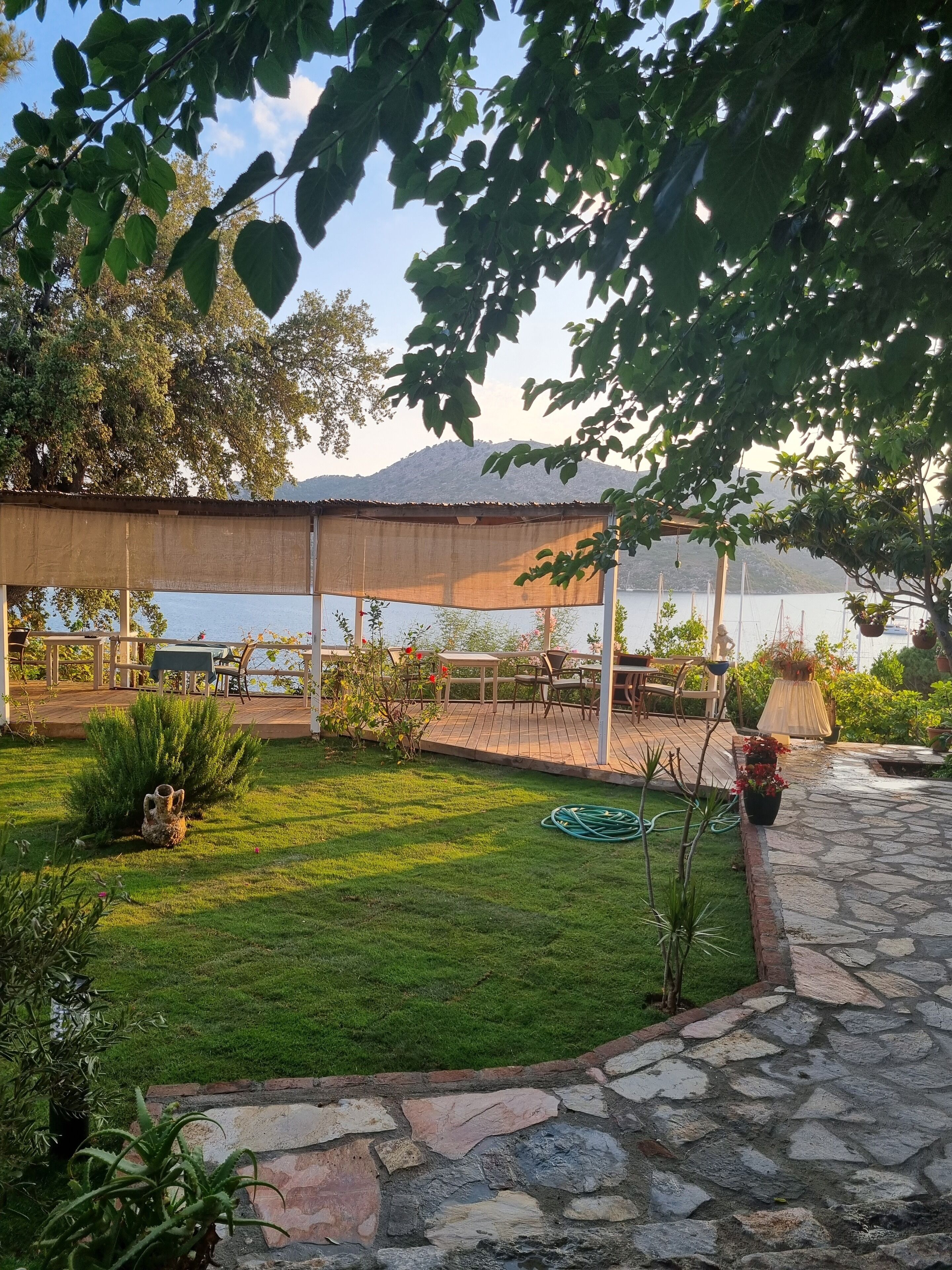 free daily full breakfast