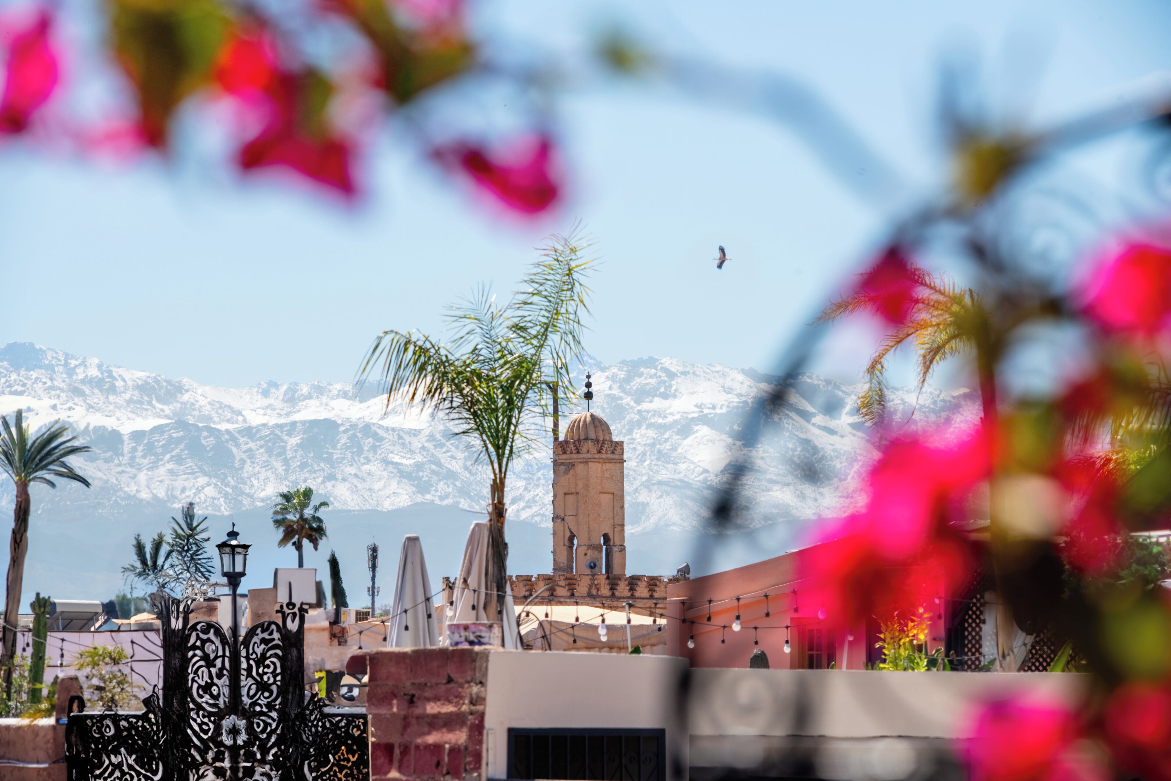 Foto - Riad Persephone