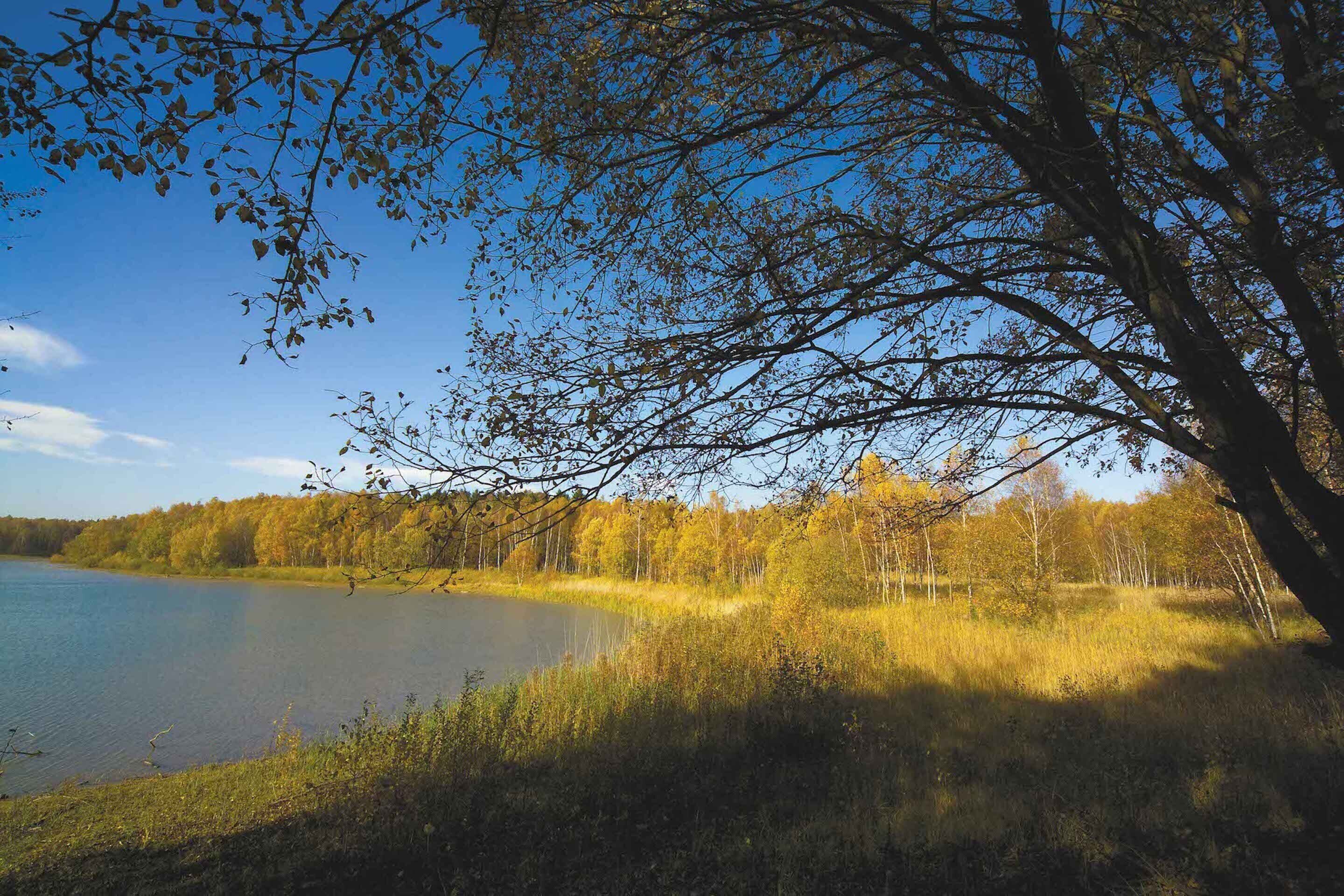 children’s activities