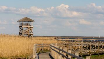 Una torre de observación de madera con techo de paja, rodeada de pastos altos y un paseo marítimo de madera que conduce a ella.
