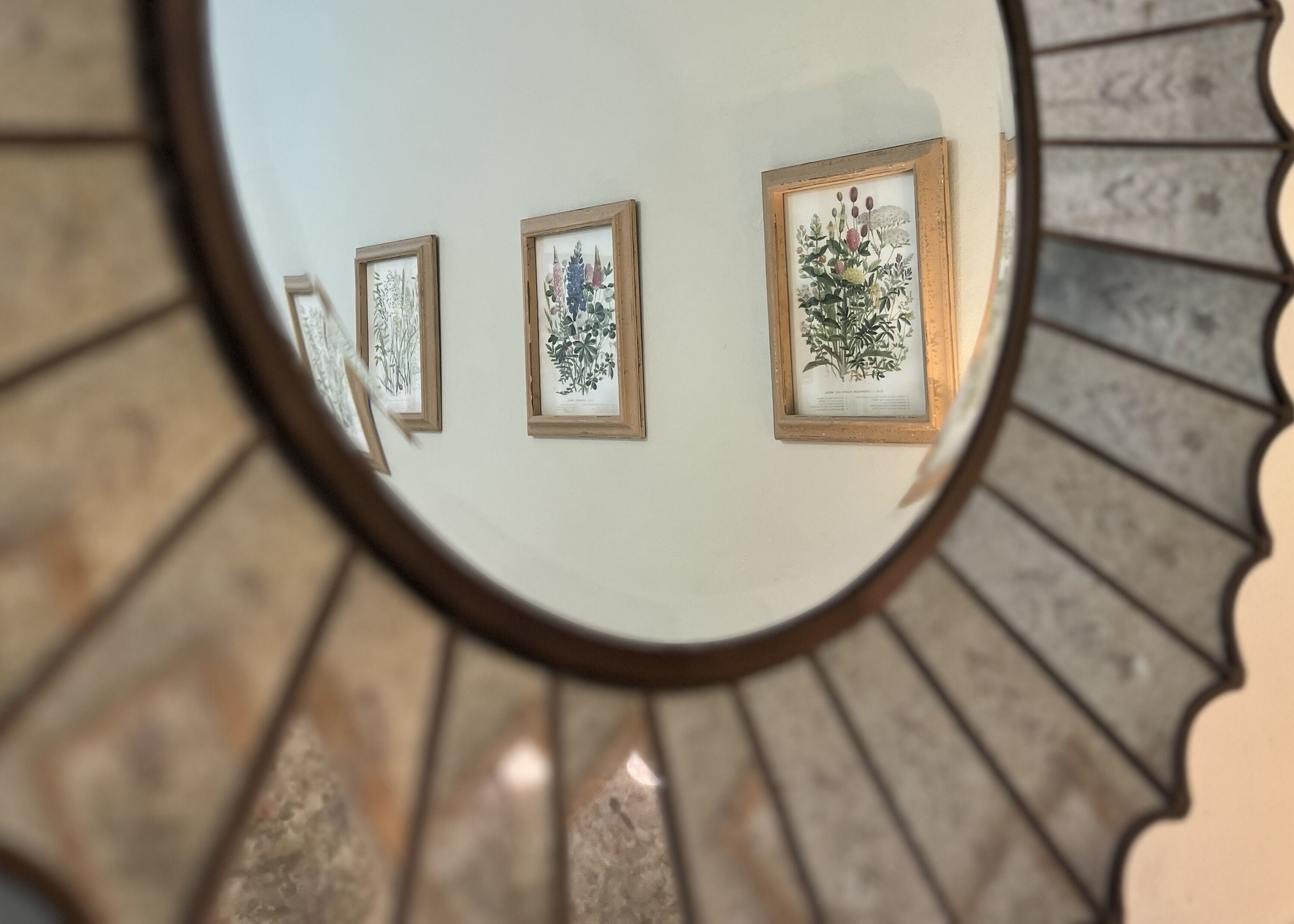 Un miroir reflétant trois illustrations botaniques encadrées accrochées à un mur.