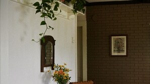 Une pièce avec une table en bois, deux chaises, un vase de fleurs, une plante suspendue, un tableau encadré au mur et un tapis à motifs.