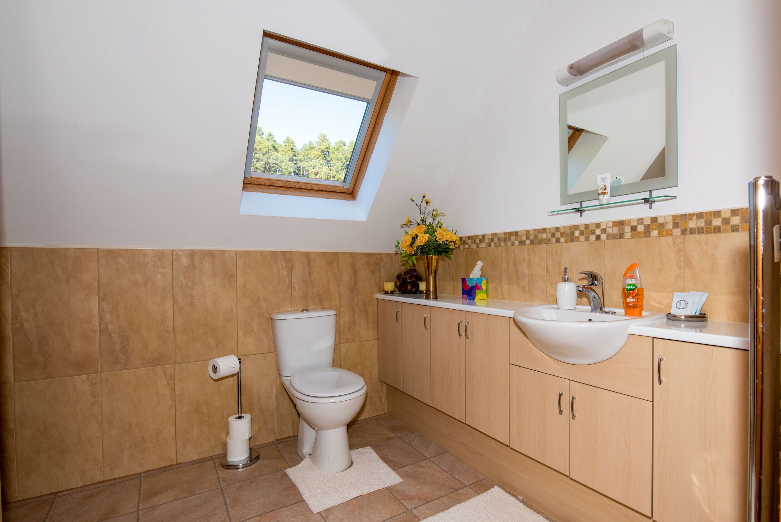 A bathroom with a skylight, toilet, sink, and cabinets.