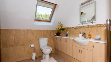 A bathroom with a skylight, toilet, sink, and cabinets.