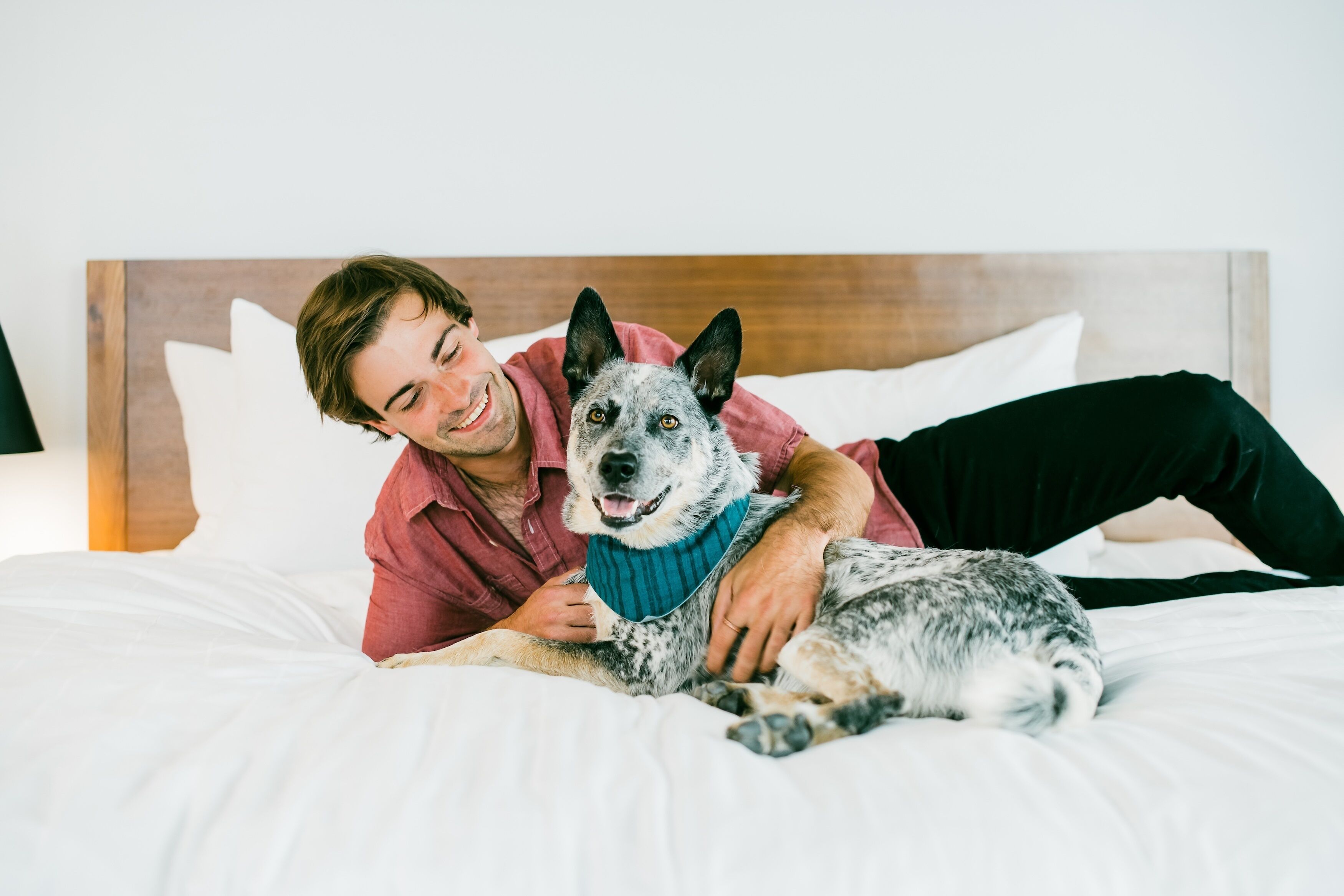 Eine Person liegt mit einem Hund auf einem Bett.