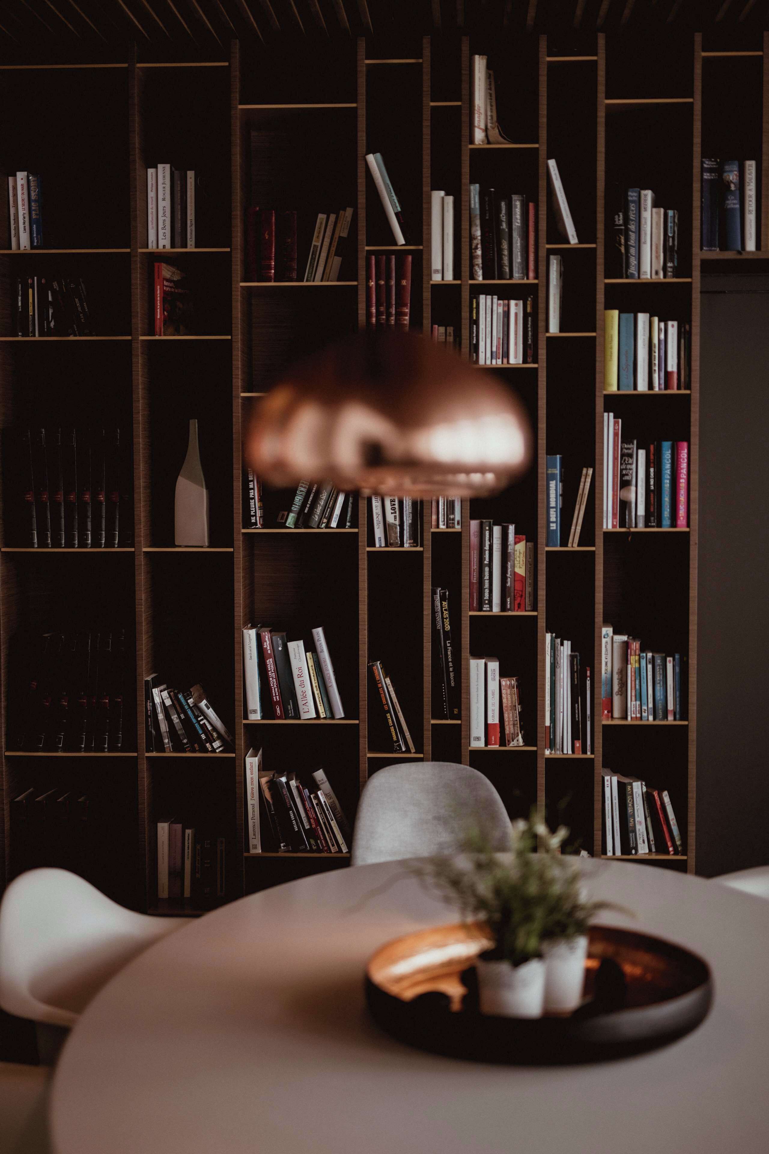 Una habitación con una estantería llena de libros, un sillón moderno y una mesita con una planta.