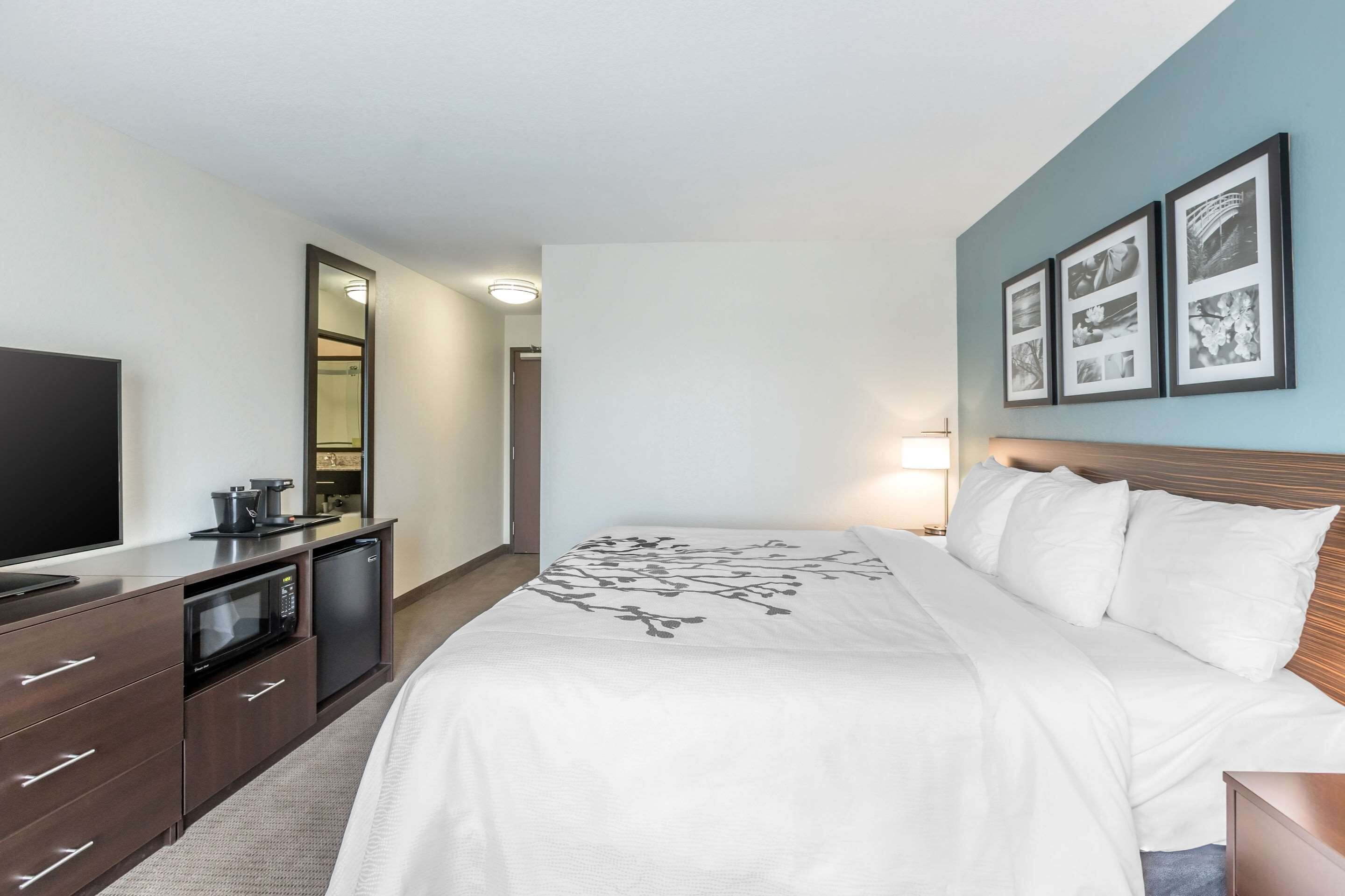 standard room, 1 king bed, non smoking | desk, iron/ironing board, free wifi, bed sheets