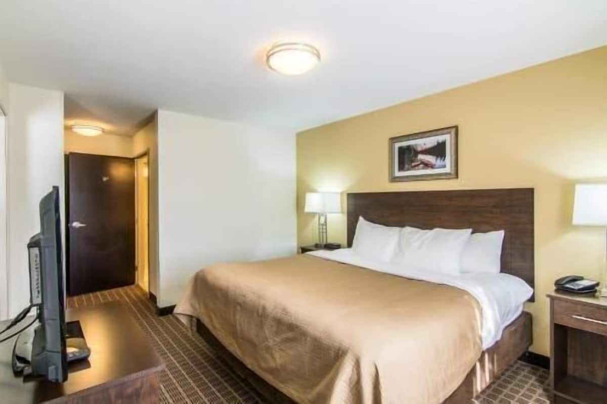 A hotel room with a bed, a television, a desk with a lamp, and a picture on the wall.